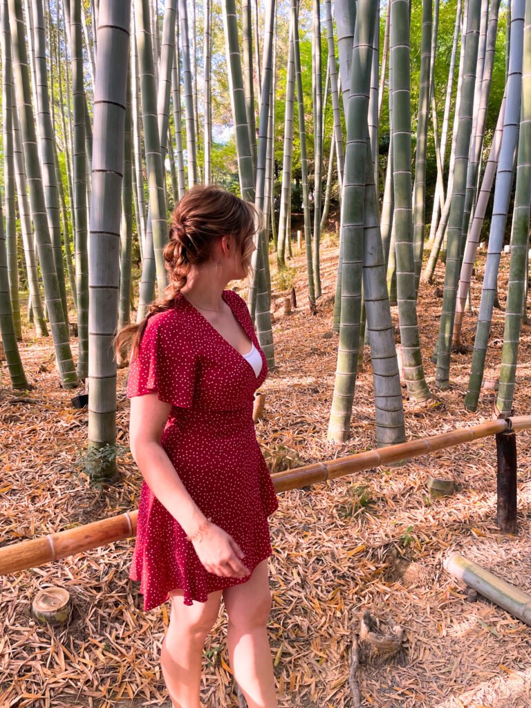 Jules standing in Kodai-ji Bamboo grove, Kyoto