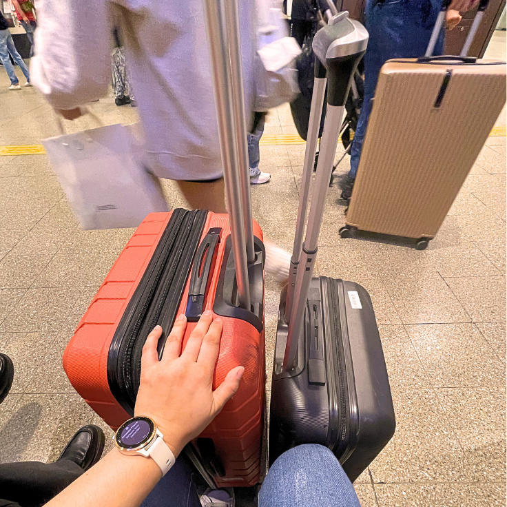 A red and a black suitcase